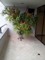 Large Open Spacies Apartment for Sale