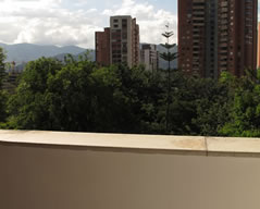 Beautiful Apartment With 3 Bedrooms