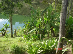 Beautiful Country House in El Penol For Sale