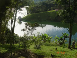 Beautiful Country House in El Penol For Sale
