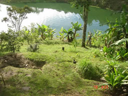 Beautiful Country House in El Penol For Sale