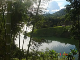 Beautiful Country House in El Penol For Sale