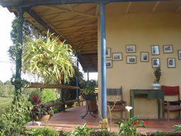 Beautiful Country House in El Penol For Sale