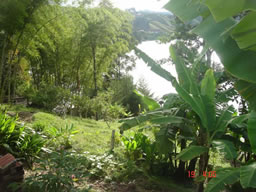 Beautiful Country House in El Penol For Sale