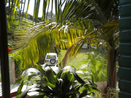 Great Farm House in El Penol For Sale, Medellin