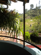 Great Farm House in El Penol For Sale, Medellin