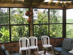 Great Farm House in El Penol For Sale, Medellin