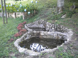 Farm House in El Penol For Sale, Medellin
