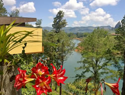 FOR  SALE - Luxurious Cabin in Guatape