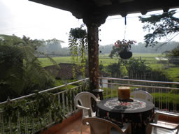 Luxury Country House in Rionegro for Sale