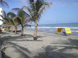 Furnished Apartment in Cartegena photo 2