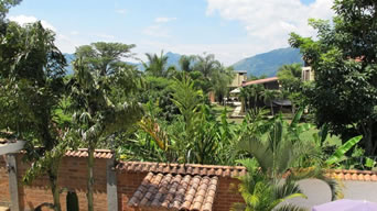 Spectacular Countryside House in Venecia, Antioquia photo 14
