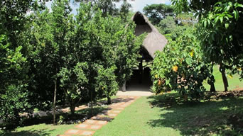 Spectacular Countryside House in Venecia, Antioquia photo 9