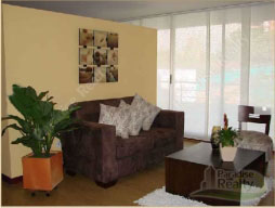 Comfortable and Modern Apartment photo 1