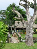Farm for Rent in San Jeronimo photo 13