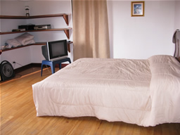 Two-bedroom Penthouse for Rent in Medellin