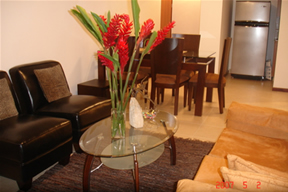 Furnished 3 Bedroom Apartment  photo 11