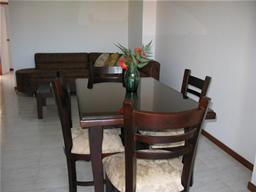 Furnished Apartment in Laureles photo 16