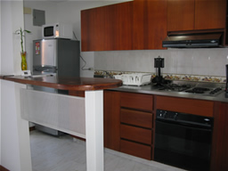Furnished Apartment in Laureles photo 4
