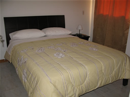 Furnished Apartment in Laureles photo 7
