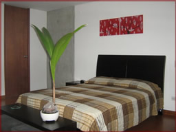 Beautifully furnished apartment for rent photo 2