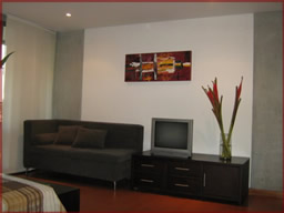 Beautifully furnished apartment for rent photo 3