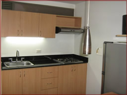 Beautifully furnished apartment for rent photo 6
