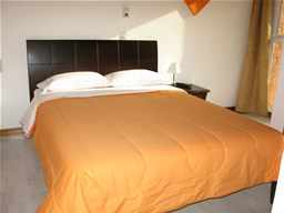 Medellin Penthouse for Rent - El Nogal photo 9