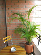 Apartment for Rent in Medellin - QUIET photo 3