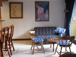 Apartment - Studio in Medellin - El Poblado photo 3