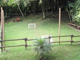 Three Bedroom Apartment for Rent in Medellin photo 8