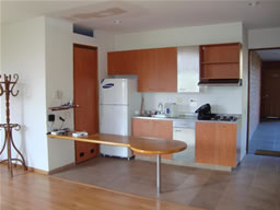 One Bedroom Apartment for Rent in Medellin photo 2