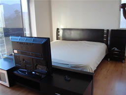One Bedroom Apartment for Rent in Medellin photo 3