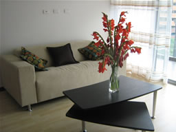 Two Bedroom Apartment for Rent in El Poblado photo 1