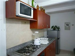 3 Bedroom Apartment for Rent photo 4