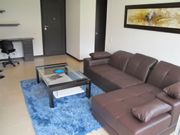 Furnished 1 Bedroom - Discounted photo 9