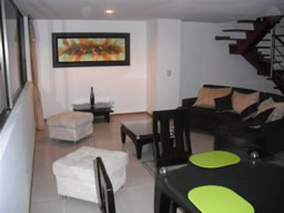 Duplex Apartment for Rent photo 2