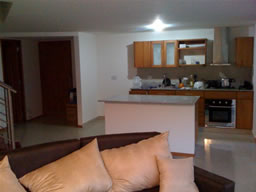 Duplex Apartment for Rent photo 4