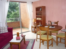One Bedroom Apartment for Rent photo 1