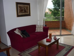 One Bedroom Apartment for Rent photo 4