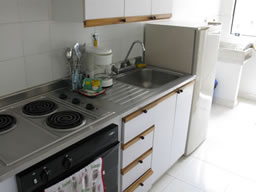 Furnished Rental Near Premium Plaza photo 4