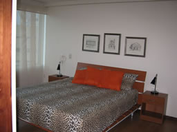 One Bedroom Apartment photo 2