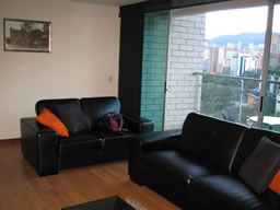 One Bedroom Apartment photo 3