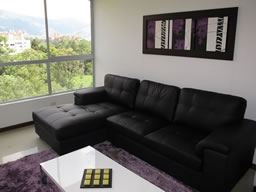 Luxury Furnished 1 Bedroom Apartment  photo 3
