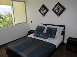 Luxury Furnished 1 Bedroom Apartment  photo 9