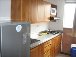 Furnished Apartment in Poblado photo 5