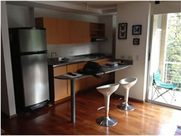 Luxurious Studio Apartment in El Tesoro photo 3