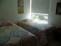Newly Furnished Apartment photo 10