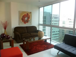 Newly Furnished Apartment photo 2