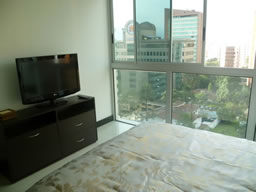 Newly Furnished Apartment photo 4